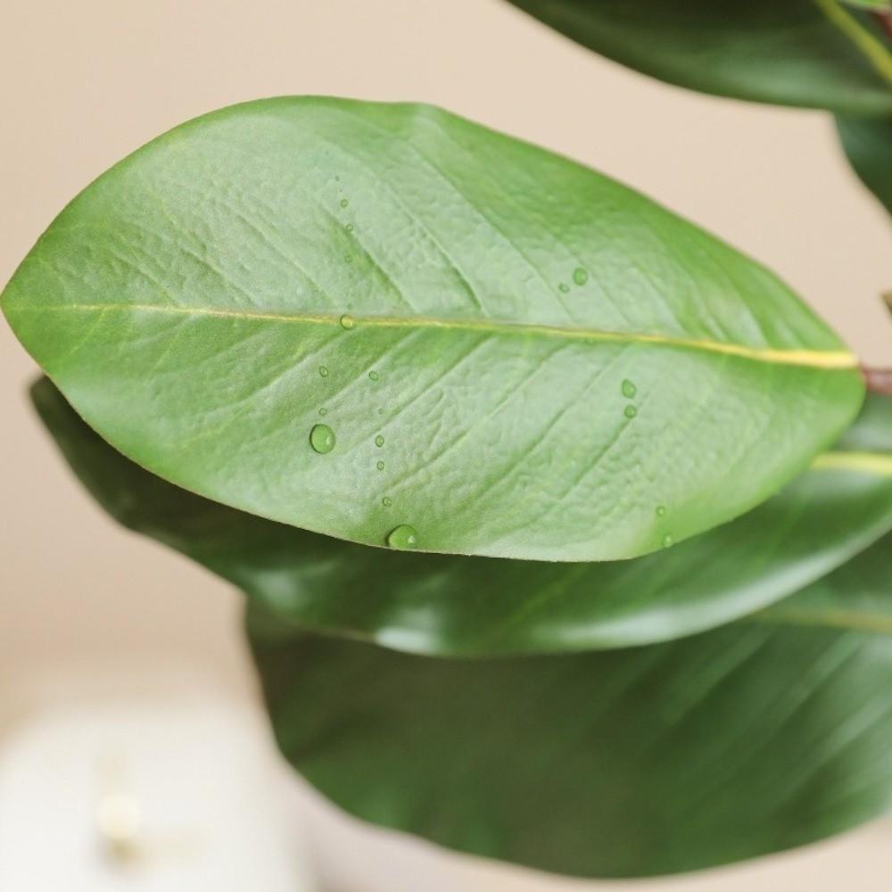 57cm Artificial Magnolia Leaves Rubber Plants Leaves Simulated Plant Branch DIY Floral Arrangement Faux Plants Home Decoration