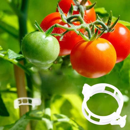 Saugomi plastikiniai augalų segtukai Augalų vynmedžių tvirtinimo spaustukai Lygių kraštų sagčių dizaino sodas