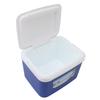 5L Cooler Box Portable Insulin Cooler Box Home Camping Portable Refrigerated Food Cooler Blue