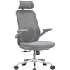 OEING Ergonomic Mesh Office Chair