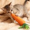 Cat Toy Carrot Sound Pet Products Bite Resistant Paper Rope Scratcher Clean Teeth Interactive Play Cat Carrot Chew Toy For Cat