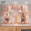 2D Teddy Bear Hot Air Balloon 1st Birthday Photography Backdrop