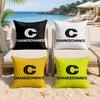 Brand Design CChancechance Cushion Cover Silky Short Plush Invisible Zipper Dustproof Sofa Pillow Case For Home Decor