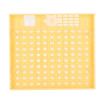 Plastic Bee King Incubator Free Move Harmless Breeding Box Beekeeper Beekeeping Tool