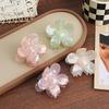 French Atmosphere~ Fairy Transparent Flower Hairpin Grab Clip Female Advanced Sense Back Head Shark Clip