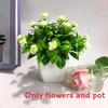 Flowers Eighteen Simulated Daisy Pine Cone Artificial Green Plant Potted Plant