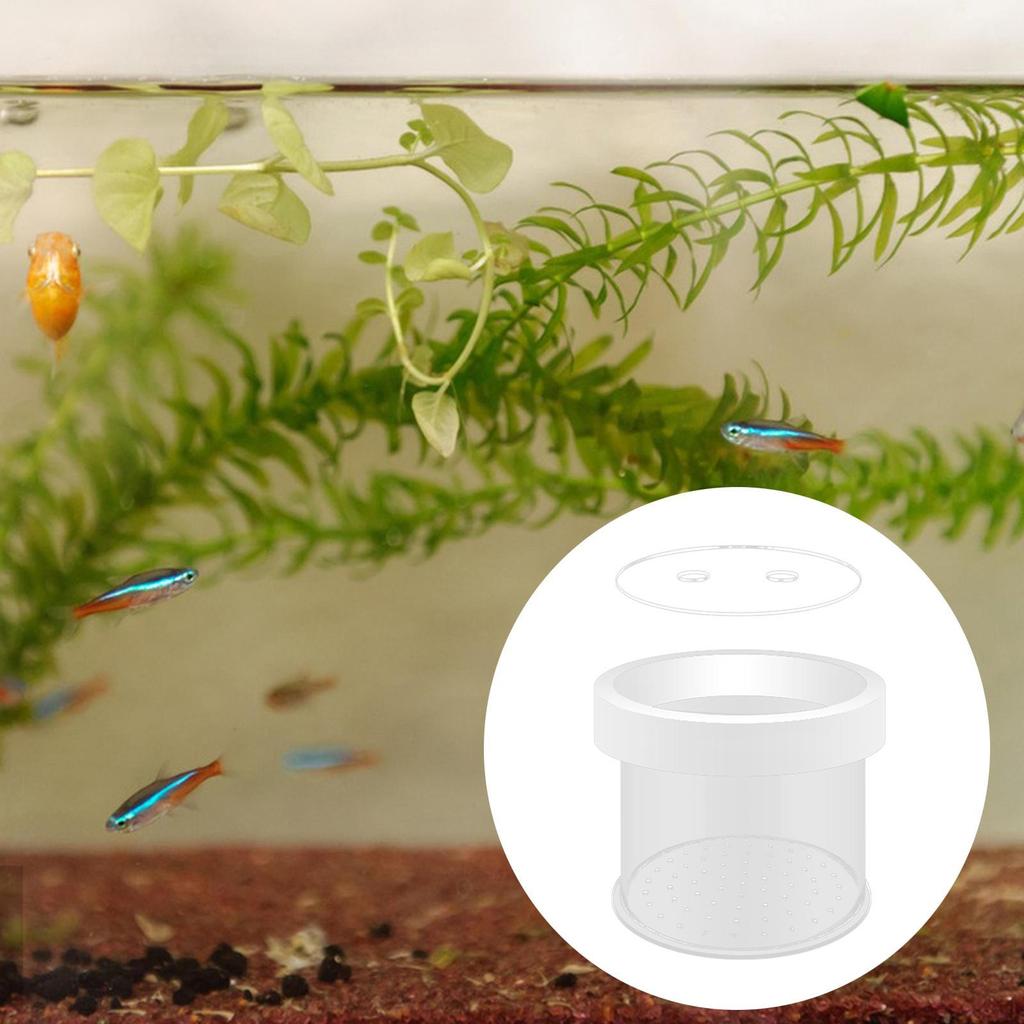 Aquarium Breeder Box Hatchery Floating Spawning Incubation Isolation for Baby