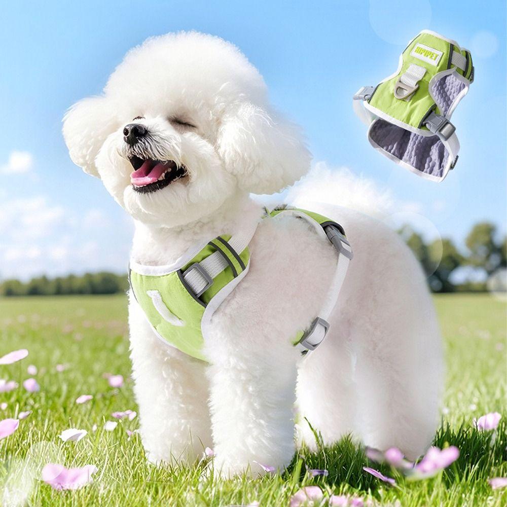 Mesh Dog Harness Breathable Dog Vest Fashion Pet Chest Strap  Walking