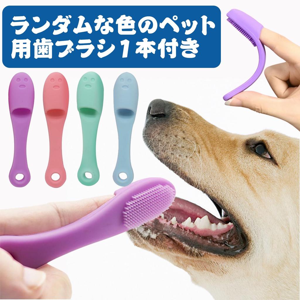 Portable Stainless Steel Dog Water for Large Wide Easy to Portable for Dogs and Suitable for Outdoor and More Bottle, 700ml, Walking, Capacity,