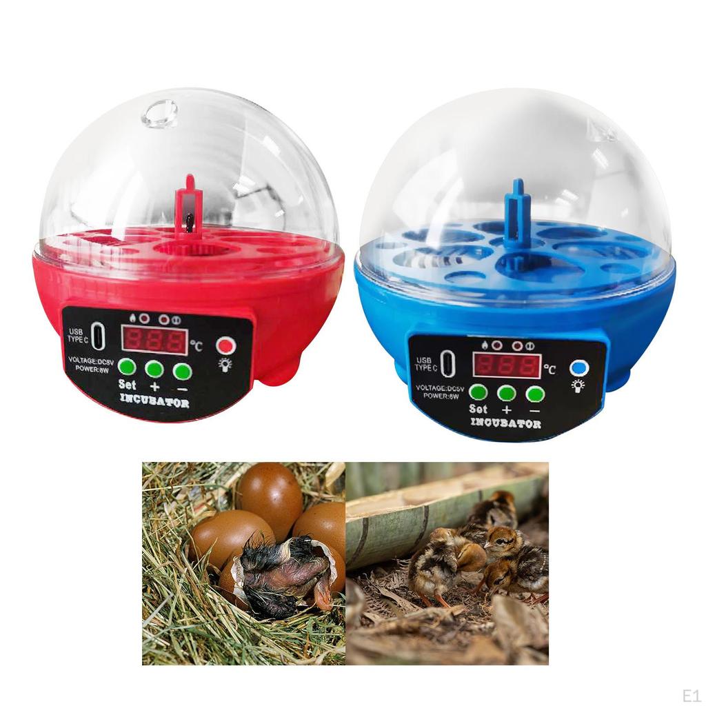Automatischer, intelligenter Temperaturregler für 6 Eier, Geflügelbrüter