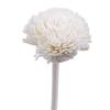 5Pcs Flower Rattan Reeds Fragrance Diffuser Non-Fire Replacement Refill Sticks