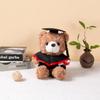 Graduation Teddy Bear In Doctor's Gown with School Emblem - Perfect for Graduation Gifts