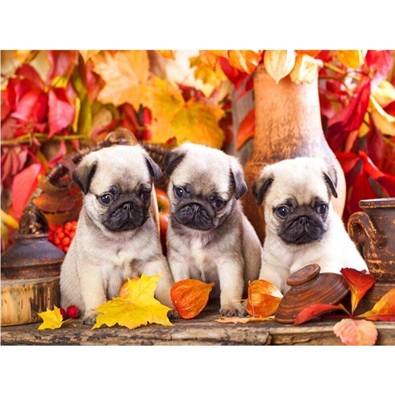 

DIY 5D алмазная живопись собака Алмазная вышивка милые таксы собаки животные мозаика вышивка крестиком полный круглый декор со стразами для дома Full Round 20x30CM