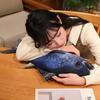 Fish Plush Toy Tuna Cartoon Shape Soft Stuffed Animal For Kids And Babies