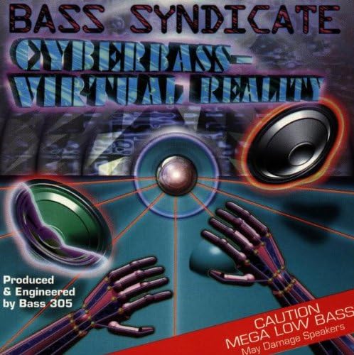 

CD BASS SYNDICATE - Cyberbass-Virtual Reality DMR41265 US Music Others Used