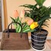 1PC Flower Pot Handmade Plant Minimalist Retro Home Pot Rustic Wooden Creative Basket Simple 26x23x11cm