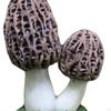 Mushroom Ornament Decoration Gift Micro Landscape Fairy Garden Flower Pot