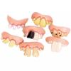 Funny Terrible 5pcs Rotten Goofy Fake Teeth Creepy Dentures Halloween Party