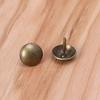 100 Pcs Furniture Upholstery Nail Antique Bronze Decorative Tacks Round for Head Pushpin for Sofa Home DIY Decor Hardwar