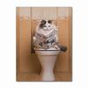 Funny Animal Dog Read Newspaper Oil Painting On Canvas Wall Art Poster Prints Wall Art Picture for Bathroom Toilet Decoration