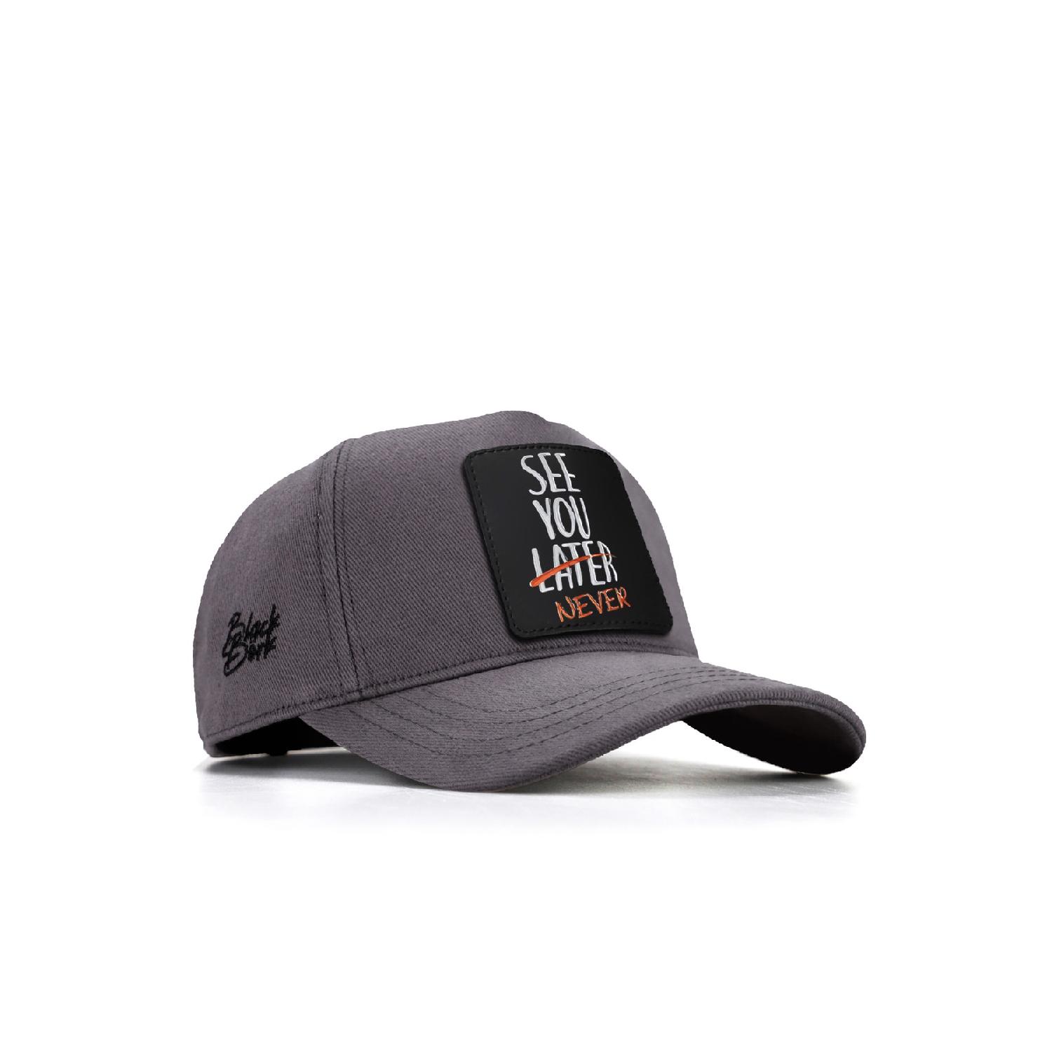 

V1 Baseball Camel See You Later Never - 25 Code Logo Унисекс Серая шляпа (кепка) OSFA серый