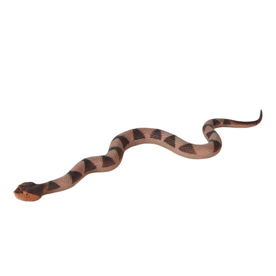 

Реалистичная игрушка-змея, мягкая модель змеи из термопластичной резины, отпугивает птиц, отпугивает белок, имитация змеи, сложный реквизит для детей и взрослых, подарок на вечеринку в честь Хэллоуина A