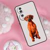 Rhodesian Ridgeback Dog Case For Honor Magic 7 5 6 Lite Pro Honor 200 Pro 50 70 90 X9b X9a X8b X8a X8 X9 X9c Cover