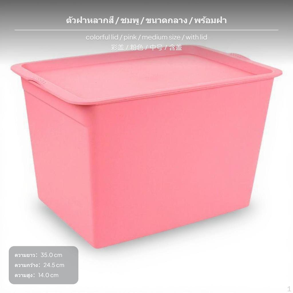Plastic Storage Box with Lid, Medium, MultiPurpose Organizer for Closet