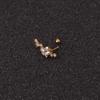 Cartilage Rook Stud Conch Screw Back Earring Stainless Steel Jewelry Piercing
