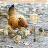 Chicken Feeders No Waste 2 Pieces Chicken Feeder Jar With Stake Refillable Food Dispenser Movable For Training Barn Poultry