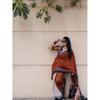 Saree Nou Exclusiv de Designer din In și Bumbac – Eleganță Jumătate și Jumătate Ediție cu Pallu Bogat
