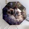 Two Siamese Cats pattern, automatic folding umbrella, portable and foldable design, 8 ribs, a Christmas or birthday gift.