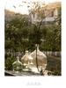 Large Transparent Japanese Andromeda Glass Vase - Thin-Neck, Big-Belly Design for Living Room Decor