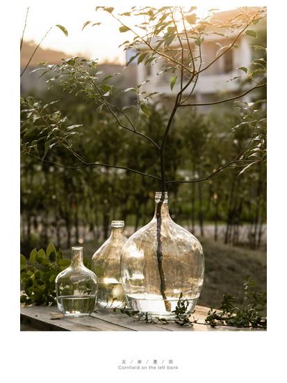 Large Transparent Japanese Andromeda Glass Vase - Thin-Neck, Big-Belly Design for Living Room Decor