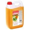 034166 Liquid Soap Ligia Peach Fragrance