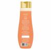Jovees Herbal Honey And Apple Conditioning Shampoo 300 Ml For Silky Soft Shiny Hair Repair Frizz Control