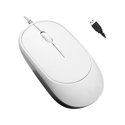 Periféricos para computadores – Ratos