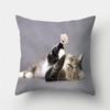 Cute Cat Print Decorative Cushion Pillowcase  Cover Pillow Sofa Living Room
