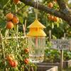 1/50pcs Liquid Pheromone Attractant Trap Home Garden Farming Hanging Wasp Catcher Traps Pest Control Supplies Fruit Flies Cage