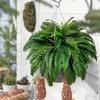 Artificial Boston Fern Foliage With Durable Silk Material For Event Decoration And Photography Props