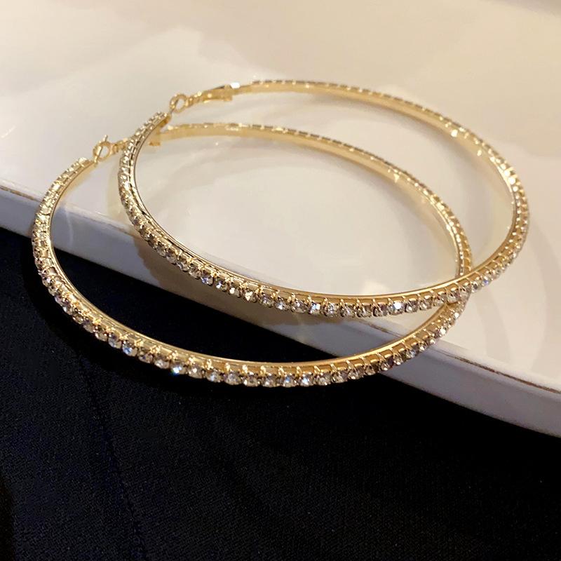 Silver Needle Diamond Round Earrings Exaggerated High-end Design Ins Earrings Niche Light Luxury Temperament New Earrings Women
