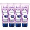 Longrich Blueberry Deep Moisturizing Hand Cream (4x50g)