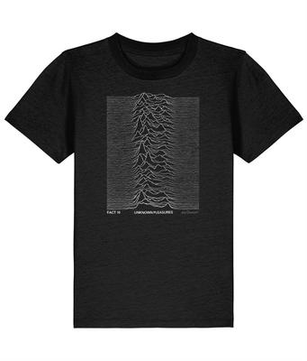 Joy Division - Unknown Pleasures - 1979 - UK Promo-Poster-Design - FAC 10 - Kinder