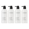 Kerasis Extra Damage Care Rinse Fruity Amber Floral Oriental Scent 750ml 4 pcs