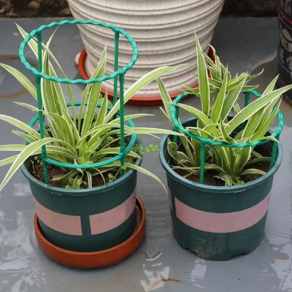 Orchard Garden Plant Support Ring Removable Flower Specific Support Rods  Gardening Tool
