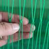 Plant Climbing Net for Cucumber and Tomato Vines In Greenhouses