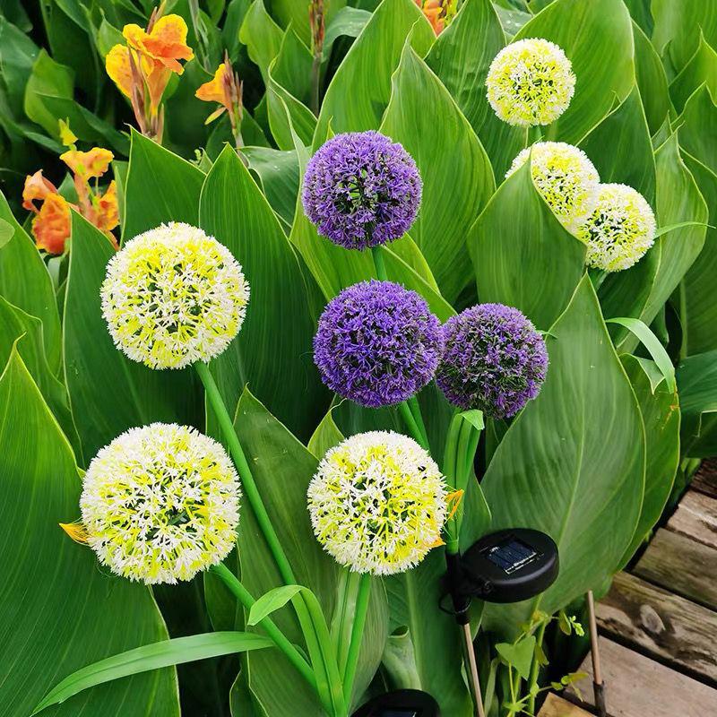 Crossled Outdoor Solar Dandelion Stake: Colorful Garden Atmosphere Light