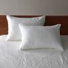 Set of 2 Pillowcases X Fits 50x70cm Made In French Odor Nordic Certified (White White, Pillows) Japan, 100% Linen, Linen, Antibacterial, Resistant,