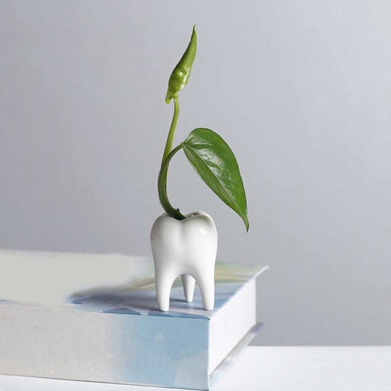 Ceramic Fleshy Plant Pot Tooth Shape Cartoon Ceramic Fleshy Plant Cactuses Flower Planter Home Desk Gardening Accessory
