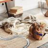 Cat Ball Track Cat Ball Track Puzzle Toy Mental Physical Exercise Training Tool For Kitten Pet Supplies For All Breed Sizes